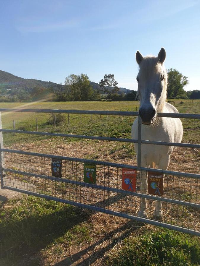 Ferme De Chiuni Villa Cargese Bagian luar foto