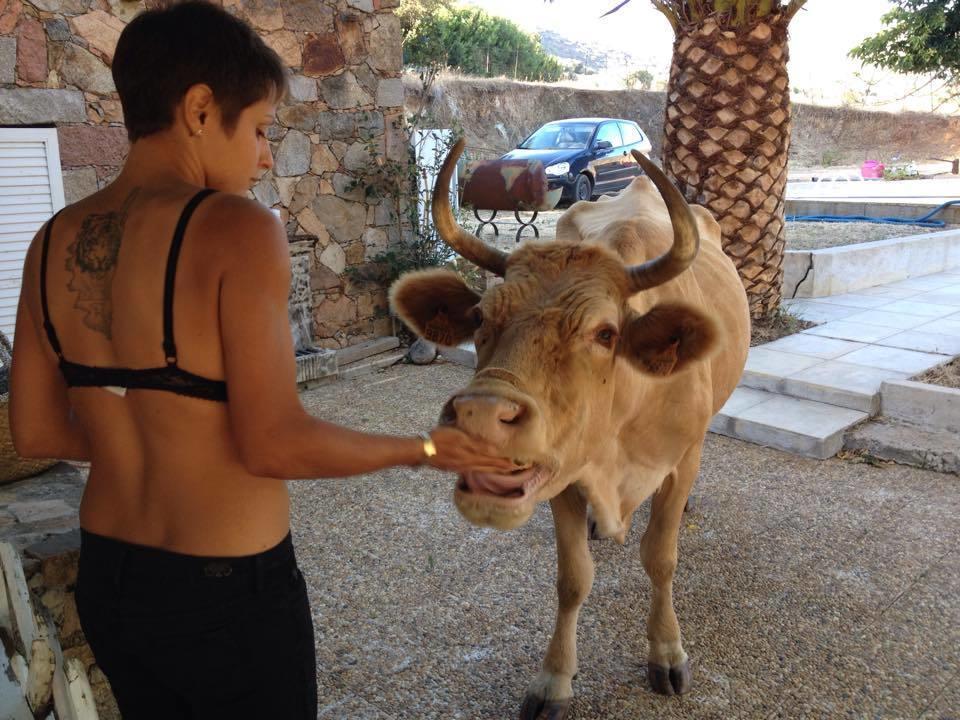 Ferme De Chiuni Villa Cargese Bagian luar foto