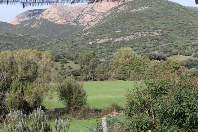 Ferme De Chiuni Villa Cargese Ruang foto