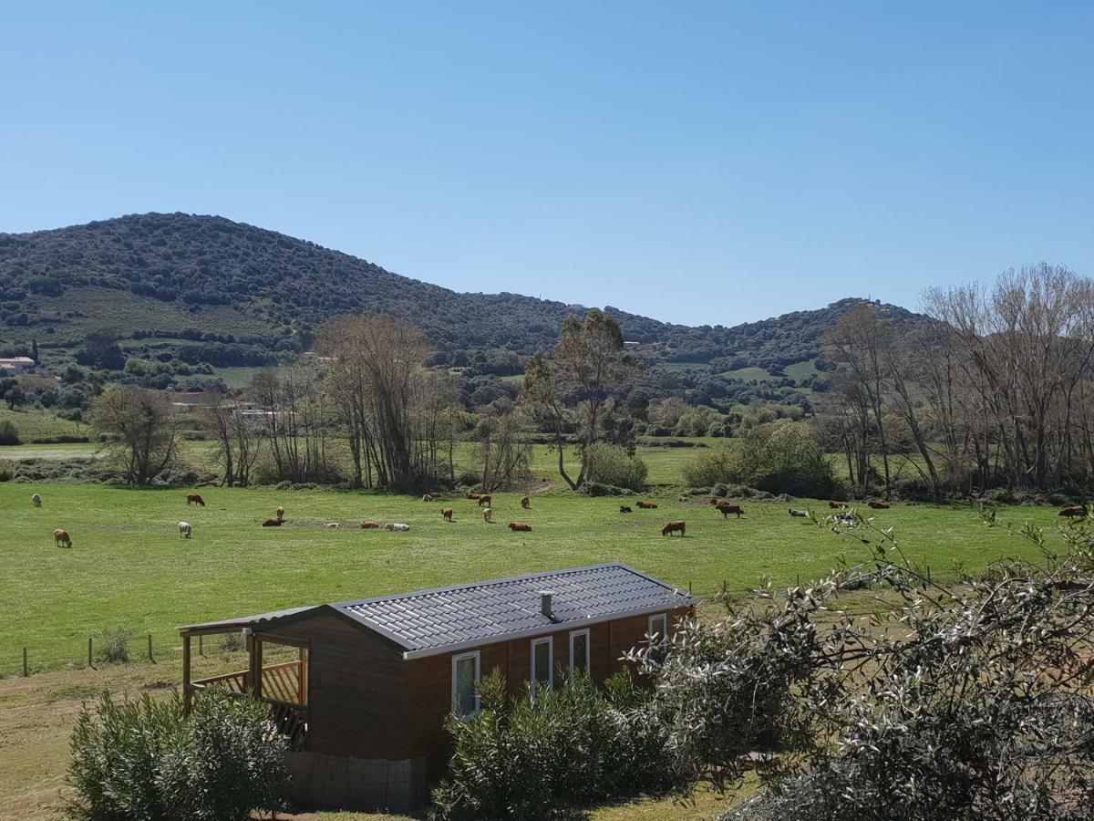 Ferme De Chiuni Villa Cargese Bagian luar foto