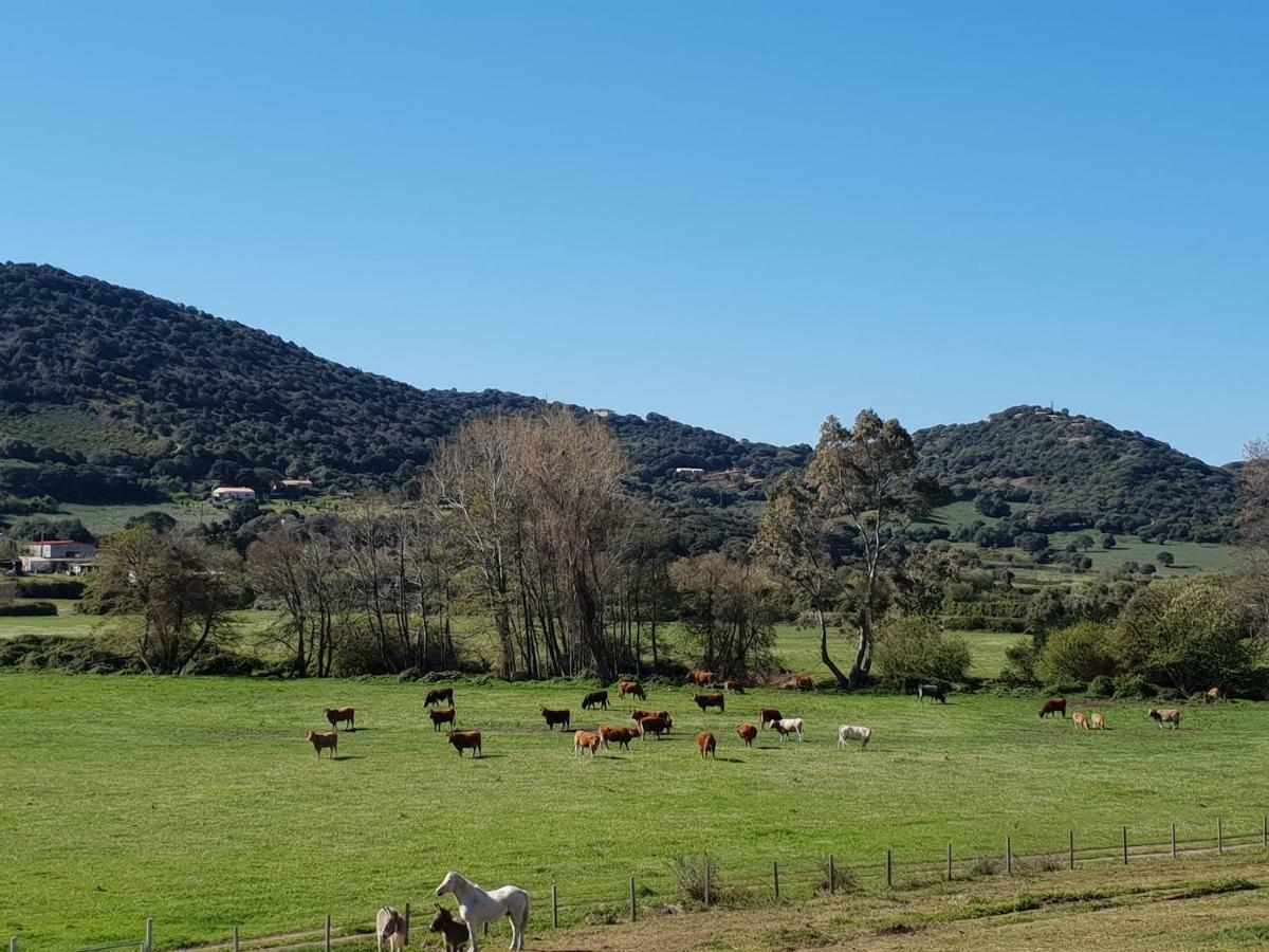 Ferme De Chiuni Villa Cargese Bagian luar foto